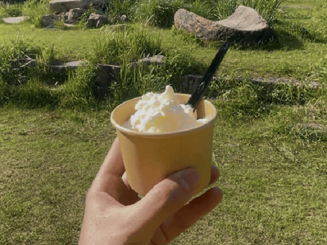 蒜山ジャージーアイスクリーム手作り体験