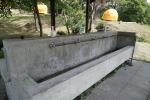 DSC00065